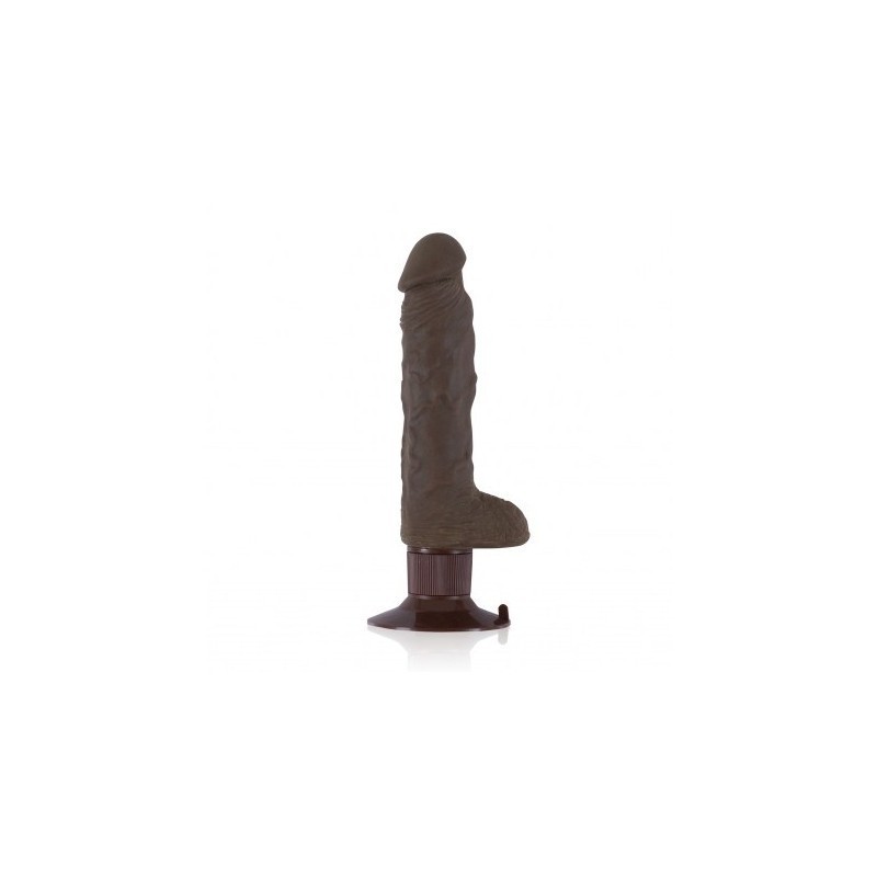 Fuktion Cups Brown 7"