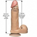 THE REALISTIC COCK