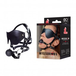 Arnes de Antiface y Gag Ball