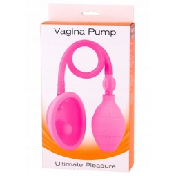 SUCCIONADOR DE VAGINA ROSA