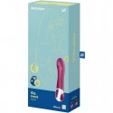 SATISFYER BIG HEAT CONNECT APP