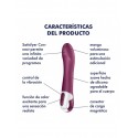 SATISFYER BIG HEAT CONNECT APP