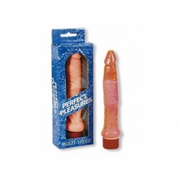 PROMO 50% Vibrador Anal  Jelly de 13cm - Perfect Pleasures