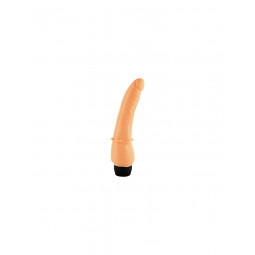 PENE ANAL 8" CON MOTOR VELOCIDAD REGULABLE