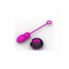 PROTEUS HUEVO CONTROL REMOTO ROSE